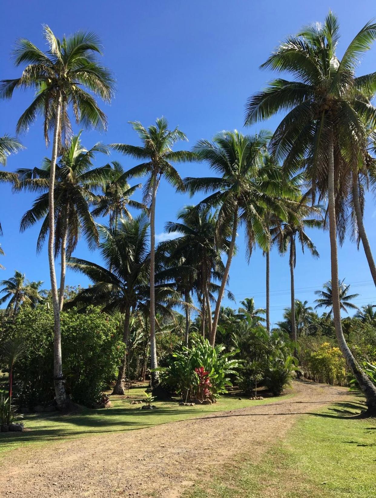 Vila Island Breeze Fiji Savusavu Pokoj fotografie